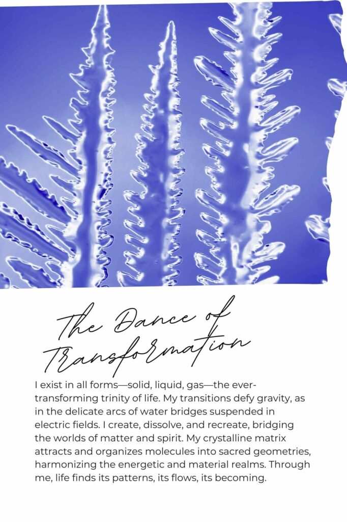 The Dance of Transformation